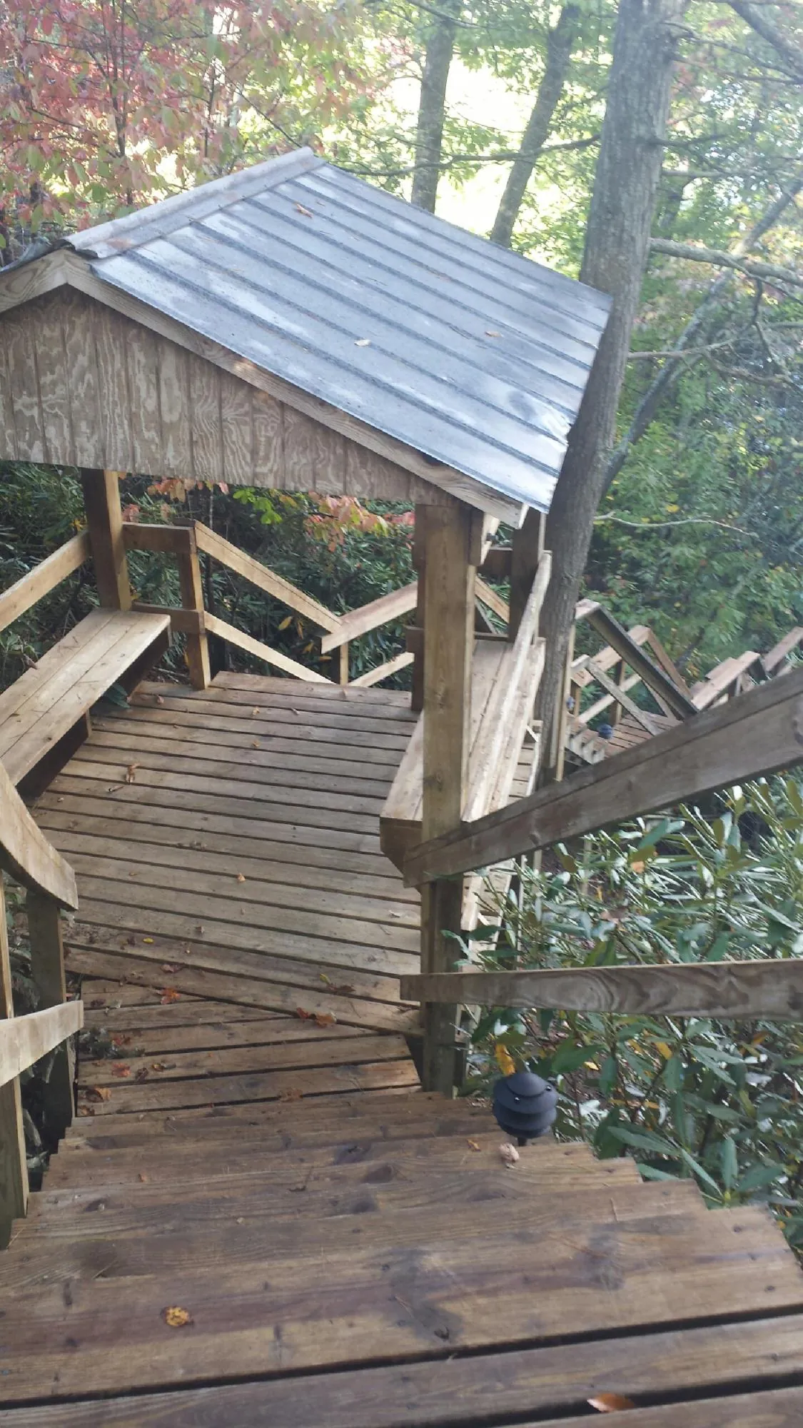 Metal roofed shelter over wooden steps on a wooded walkway — Skylight Repair & Installation work by our crew in Gold Creek