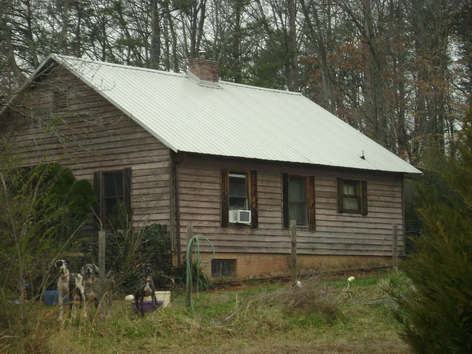 White metal roof on an old wood sided farmhouse, from a Metal Roof Installation job in Gold Creek